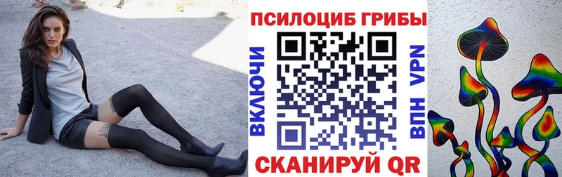 Псилоцибиновые грибы прущие грибы  Полярные Зори 